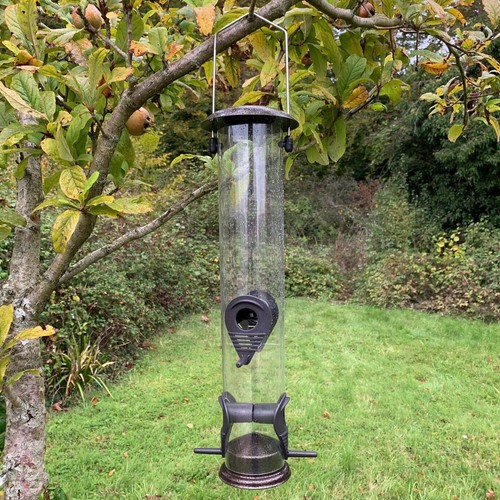 Large hanging garden bird - large, seed