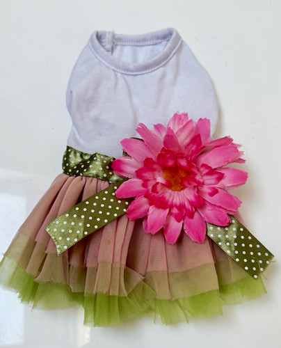 Dog dress white - xs,