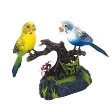Talking parrots chirping - parrots,