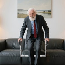 Stand Assist Rail Mobility