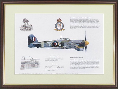 Hawker typhoon picture - hawker,