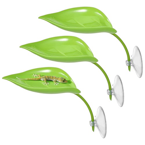 Peovlvn pcs crested gecko - pcs,