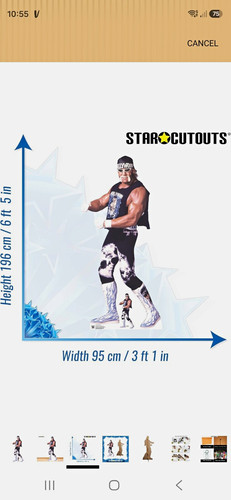 Star cutouts wwe hollywood - star,