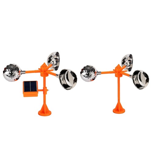 New pigeon bird seagulls - new,