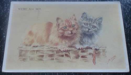 Mabel gear cats - cats, "we're