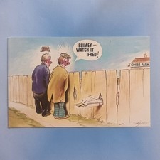 Comic Postcard C1965 Goose Farm Fence Men Pee Watch It Fred Peck Bamforth