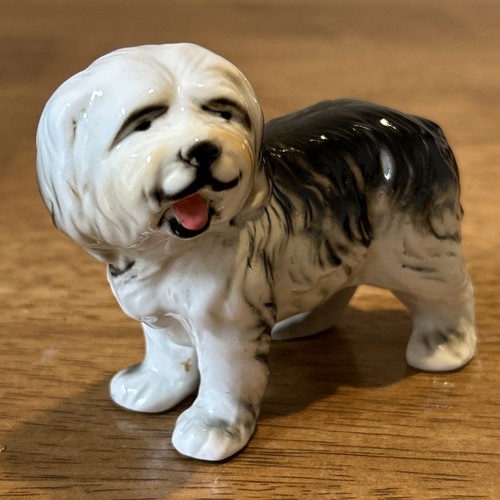 Old english sheep - sheep, dog