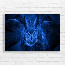 Stunning Great Horned Owl