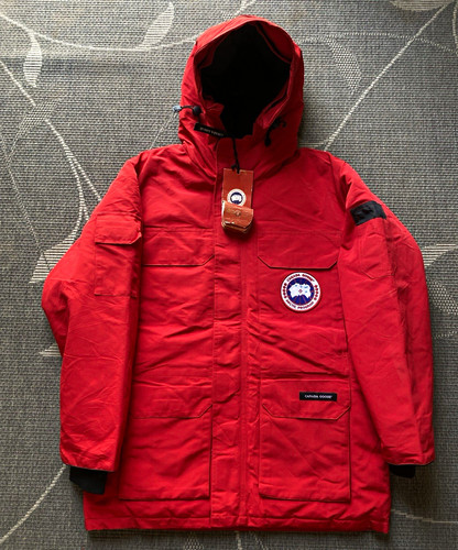 Canada goose arctic - arctic, program