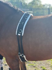 LUNGING TRAINING ROLLER