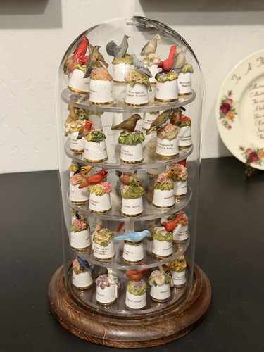 Rotating glass dome thimble - dome,