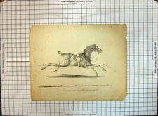Original Old Antique Print