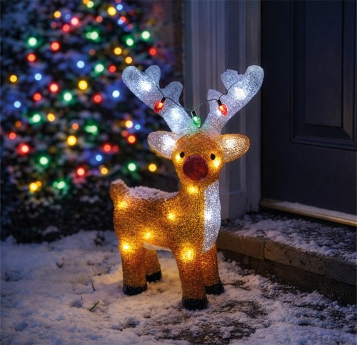 Christmas rudolph reindeer - christmas,
