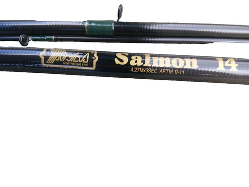 Salmon fishing rod - salmon, 14