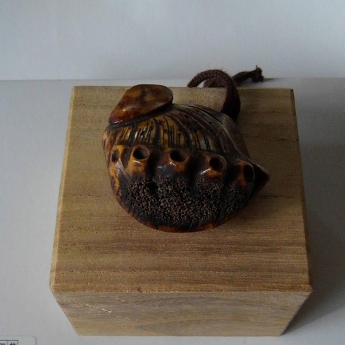 Netsuke japanese abalone shell - abalone,
