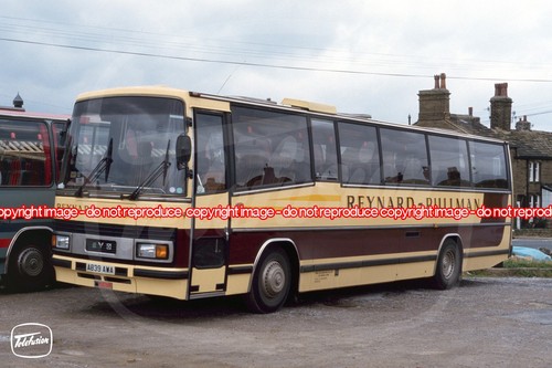 Coach photo reynard york - photo,