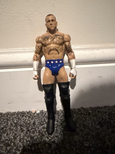 Wwe punk basic wrestling - punk,
