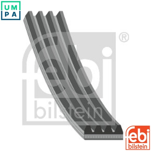 Vribbed belt 28777 - belt, bmw