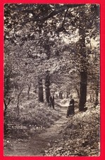 Postcard EASTHAM WOODS Wirral [F Walker] RP POSTED 1909 Wirral Photographic Ser