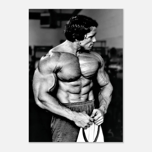 Arnold schwarzenegger poster - arnold,