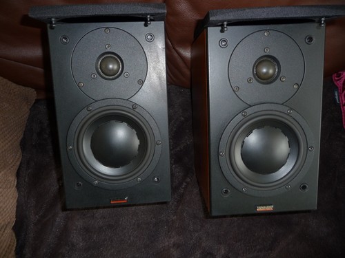 Dynaudio audience - dynaudio, 42