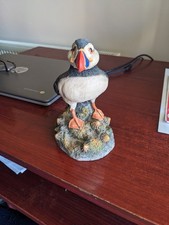 Vintage Atlantic Puffin Bird