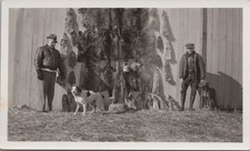 VINTAGE PHOTO Hunting Dogs