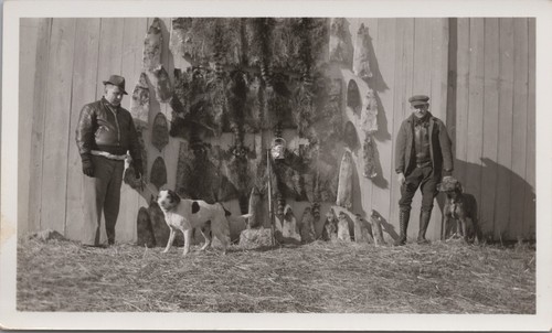 Vintage photo hunting dogs - vintage,