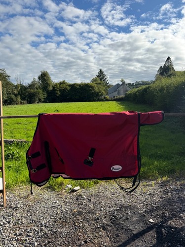 Lightweight rhinegold horse - lightweight,