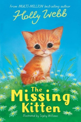 The missing kitten - , (paperback)