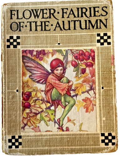 Flower fairies the - fairies, of