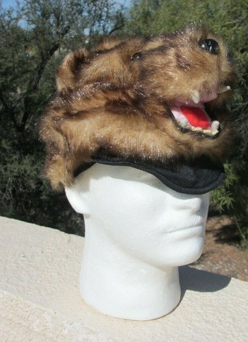 Bear hat cub scout - bear,