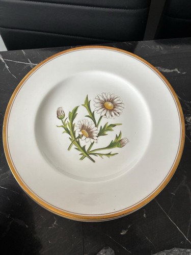Vintage royal worcester h - royal,