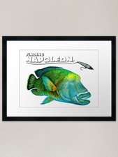 Napoleon wrasse Framed Art