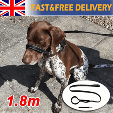 Black Dog Lead Stop dogs