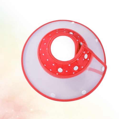 Cat recovery collar soft - cat,