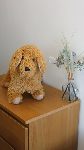 Big cute plush - cute, toy