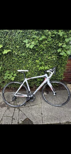 Eddy merckx efl - eddy,