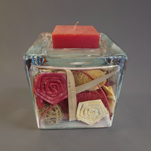 Glass incased dried - glass,