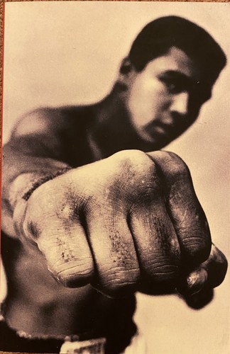 Ali life by jonathan eig - a,