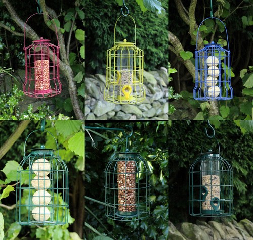 Wild bird hanging - bird,