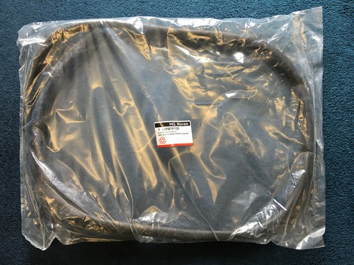 Classic mini mpi door seal - classic,