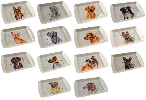 Melamine plastic 23x16cm snack - 23x16cm,