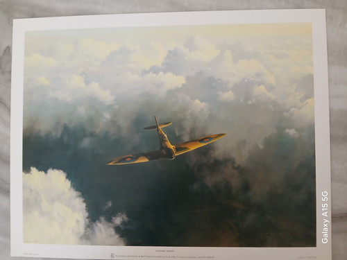 Evening flight print - flight, of