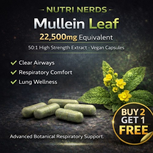 Pure mullein leaf - mullein,