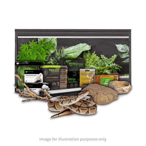 Swell reptiles royal python - swell,