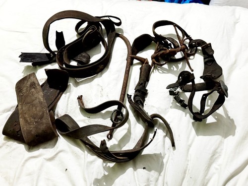 Antique horse harness bridle - antique,