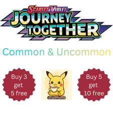 Journey Together Pokemon Cards