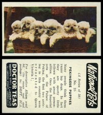 Pekingese Puppies #25 National