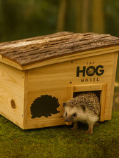 Wooden hedgehog house home - wooden,